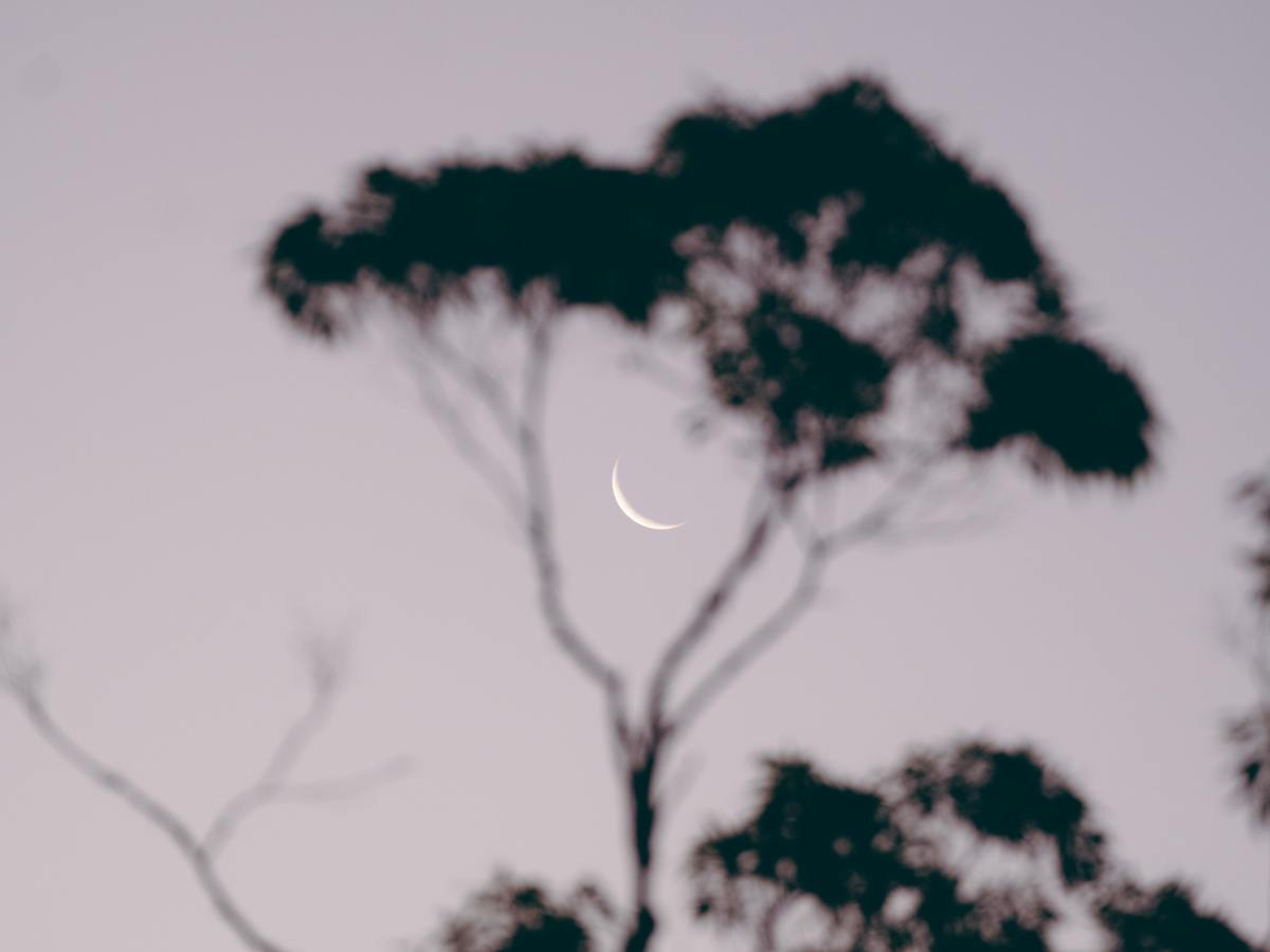 NaPoWriMo 2023 — Day 18: “Dark Spirit&nbsp;Moon”