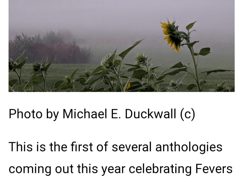 New Anthology from Fevers of the Mind out&nbsp;today!