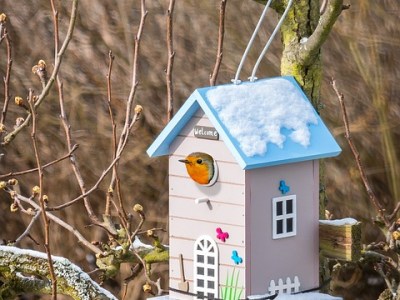 False Spring, Music Writing, & ‘House of&nbsp;Leaves’