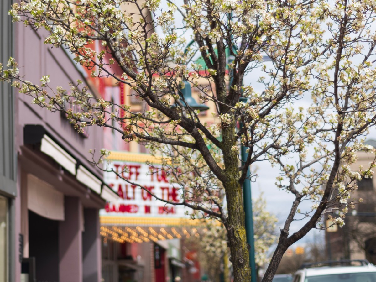 NaPoWriMo 2024 — Day&nbsp;21