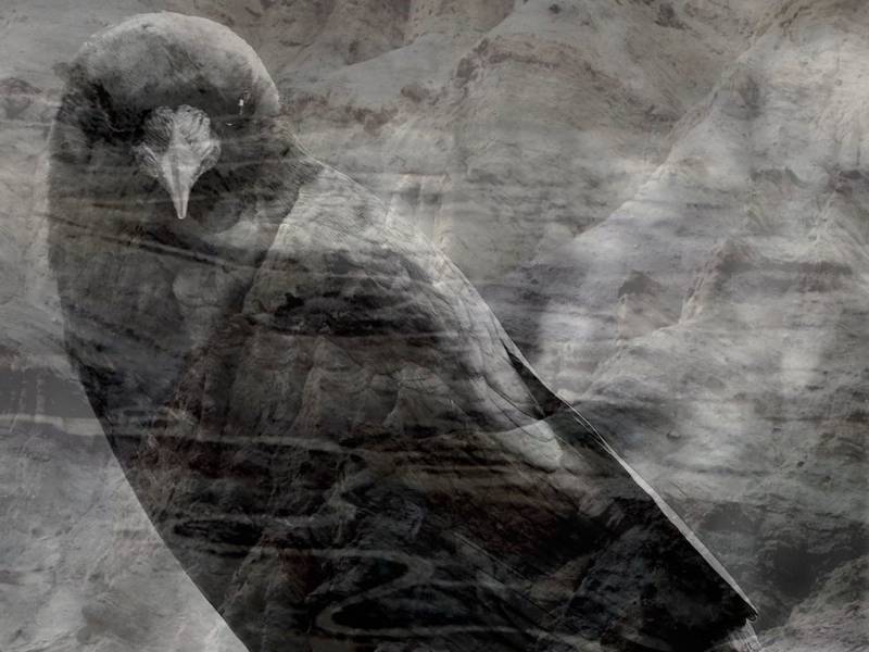 “Glower” in The Winged Moon&nbsp;Magazine