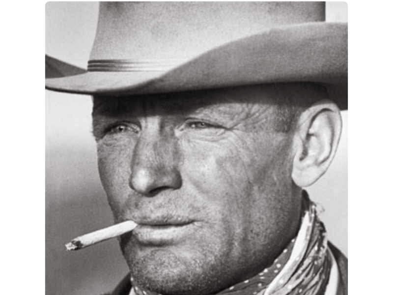 “Lumerian” over at The Beatnik&nbsp;Cowboy