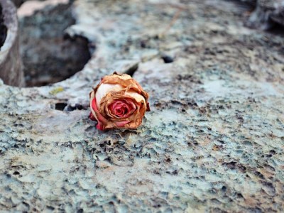 Cold Snap: Poem + Sad&nbsp;News